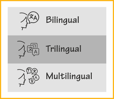 Posters can be bi-lingual, tri-lingual or multi-lingual