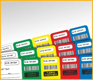 Barcoded Tags with Numbering